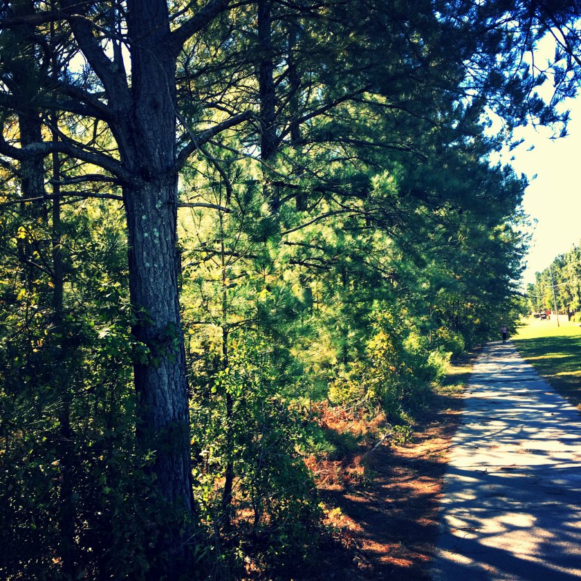 img_2715_kindlephoto-368251