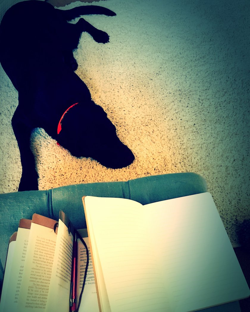 img_3176_kindlephoto-2943777