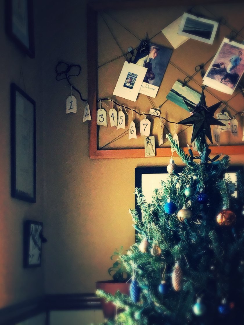 img_4036_kindlephoto-2102852