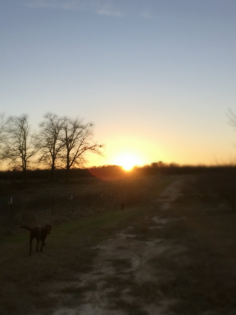 img_4401_kindlephoto-4570899