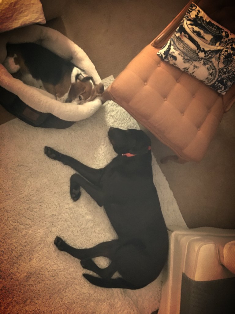 img_4440_kindlephoto-873831