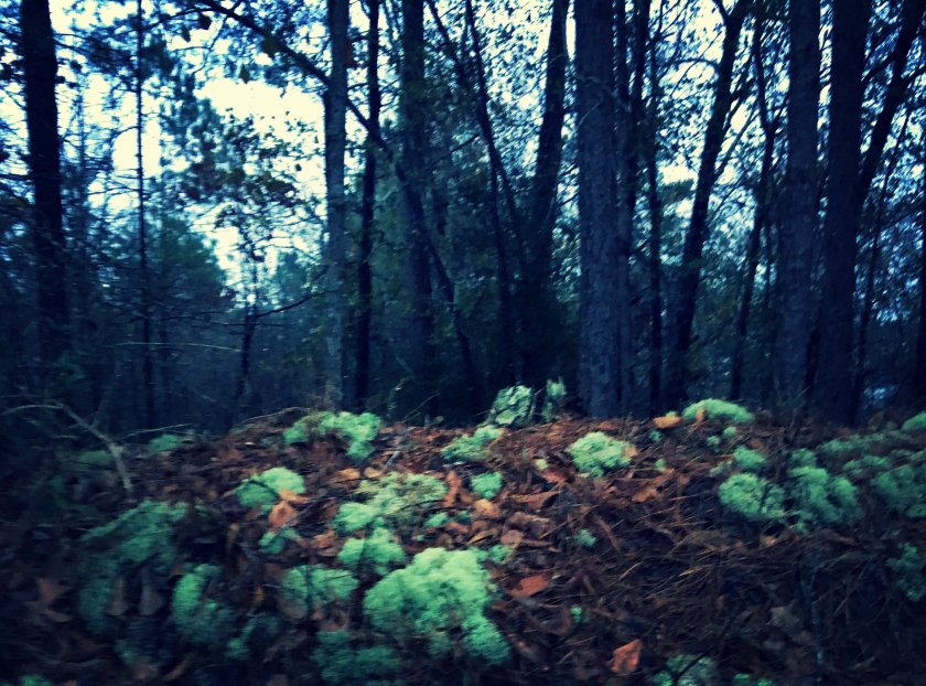 fullsizerender-24_kindlephoto-590817