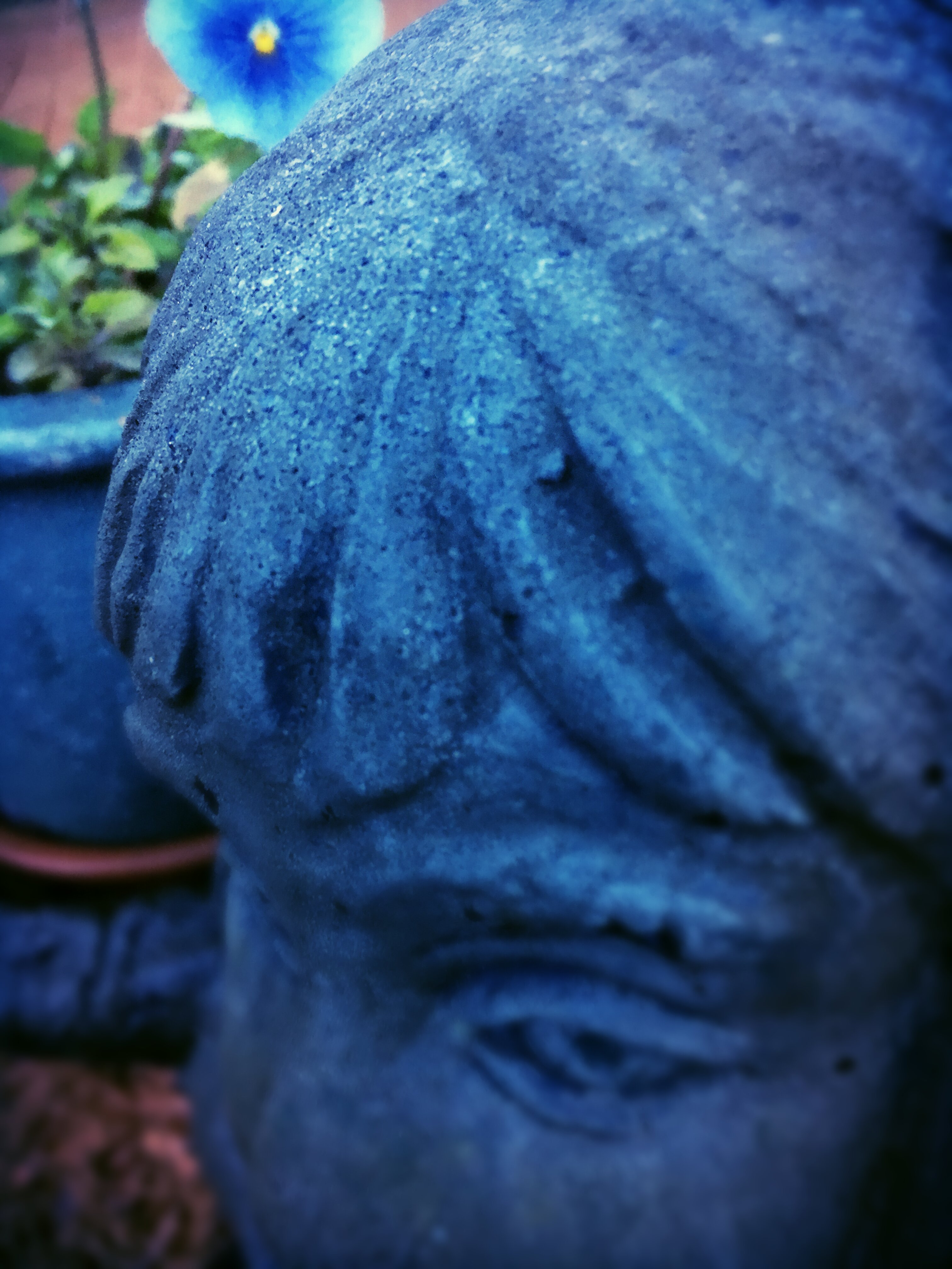 img_4487_kindlephoto-706862