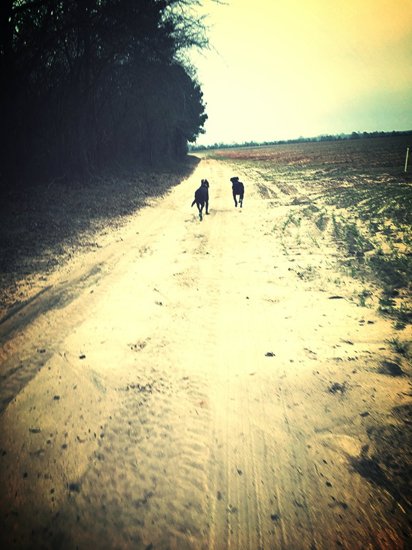 img_4754_kindlephoto-50064842