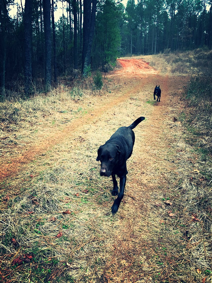 img_4779_kindlephoto-50171596